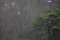 IMG_0002.jpg