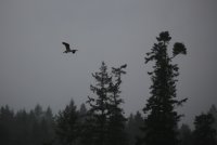 IMG_0003.jpg