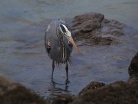 IMG_0005.jpg