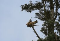IMG_0002.jpg