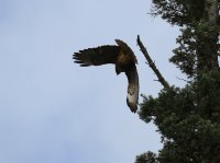 IMG_0003.jpg
