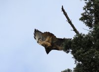 IMG_0004.jpg