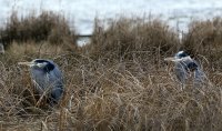 IMG_0001.jpg