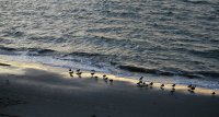 IMG_0001.jpg