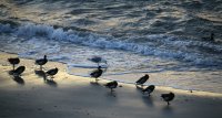 IMG_0002.jpg
