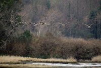 IMG_0002.jpg