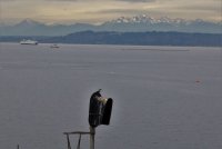 IMG_0004.jpg