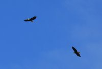 04.jpg