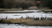 IMG_0001.jpg