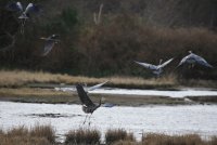 IMG_0002.jpg