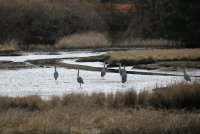 IMG_0003.jpg