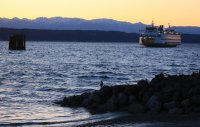 IMG_0003.jpg
