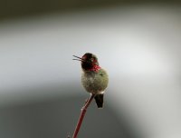 IMG_0002.jpg