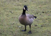 IMG_0002.jpg