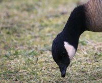 IMG_0003.jpg