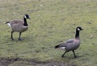 IMG_0004.jpg