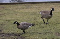 IMG_0005.jpg