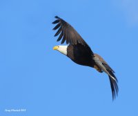 3-1-2018 f eagle landing pt edwards_4753.JPG