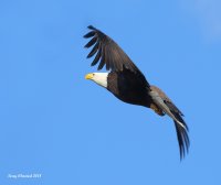3-1-2018 f eagle landing pt edwards_4753.JPG 3-1-2018 f eagle landing pt edwards_4753.JPG