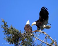 3-1-2018 f eagle landing pt edwards_4755.JPG 3-1-2018 f eagle landing pt edwards_4755.JPG