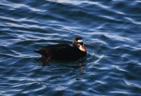 IMG_0003.jpg