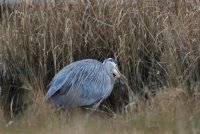 IMG_0001.jpg