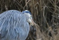 IMG_0002.jpg