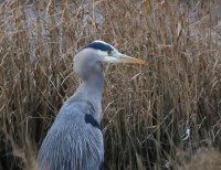 IMG_0003.jpg
