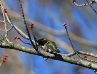 IMG_0001.jpg