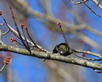 IMG_0003.jpg