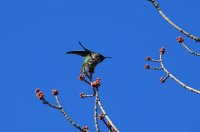 IMG_0004.jpg
