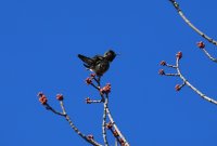 IMG_0005.jpg
