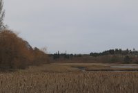 IMG_0001.jpg