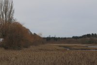 IMG_0002.jpg