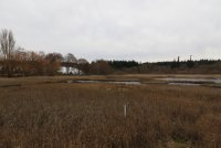IMG_0003.jpg