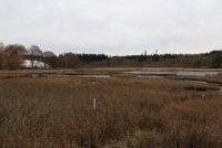 IMG_0004.jpg