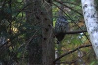 IMG_0001.jpg