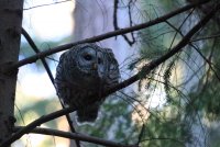 IMG_0003.jpg