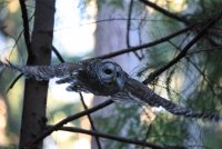 IMG_0005.jpg
