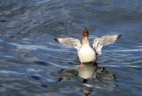 IMG_0002.jpg