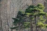 IMG_0001.jpg