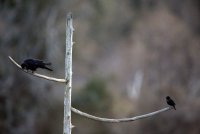 IMG_0002.jpg