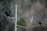 IMG_0003.jpg