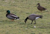 IMG_0003.jpg
