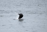 IMG_0002.jpg