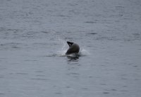 IMG_0003.jpg