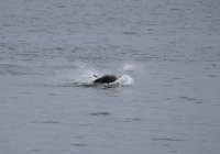IMG_0004.jpg