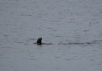 IMG_0005.jpg
