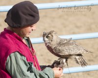 Falconer w GHO w-logo.jpg