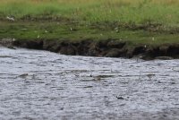 04.JPG